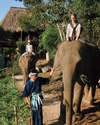 Four Seasons Tented Camp Golden Triangle 